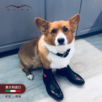 animo italian import lady equestrian short boot riding race obstacle racing bull leather boots 564