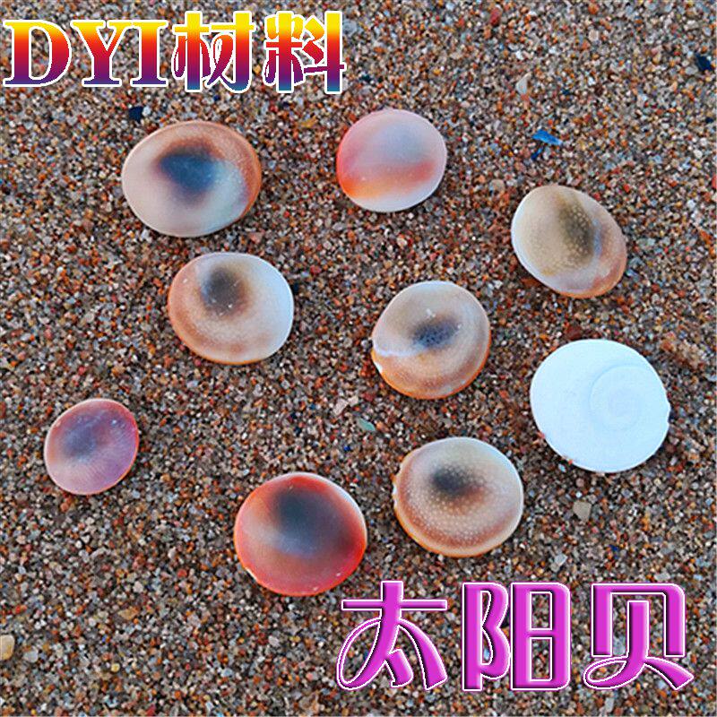 Natural sea shell solar shell creative DYI hand - made fish tank microlandscape - framing ground wall decoration