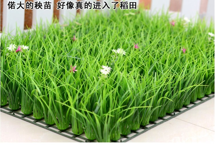 Bán hàng trực tiếp trong nhà cỏ giả với hoa nhựa cỏ mô phỏng cây xanh tường cao cỏ mã hóa ban công trang trí sân cỏ nhân tạo - Hoa nhân tạo / Cây / Trái cây lựu giả