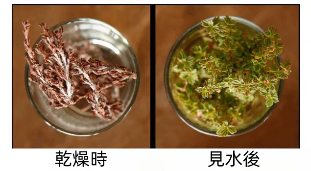 1bf5946f-1ea3-464c-b17e-140ef425f94d.webp