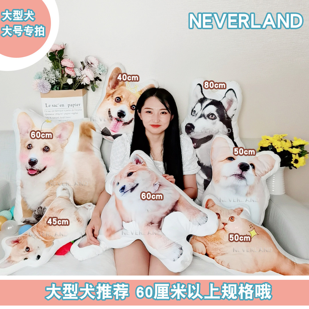 Special Number of pets with pillow customisation to figure out the photo Diy Meng Favorite Souvenir