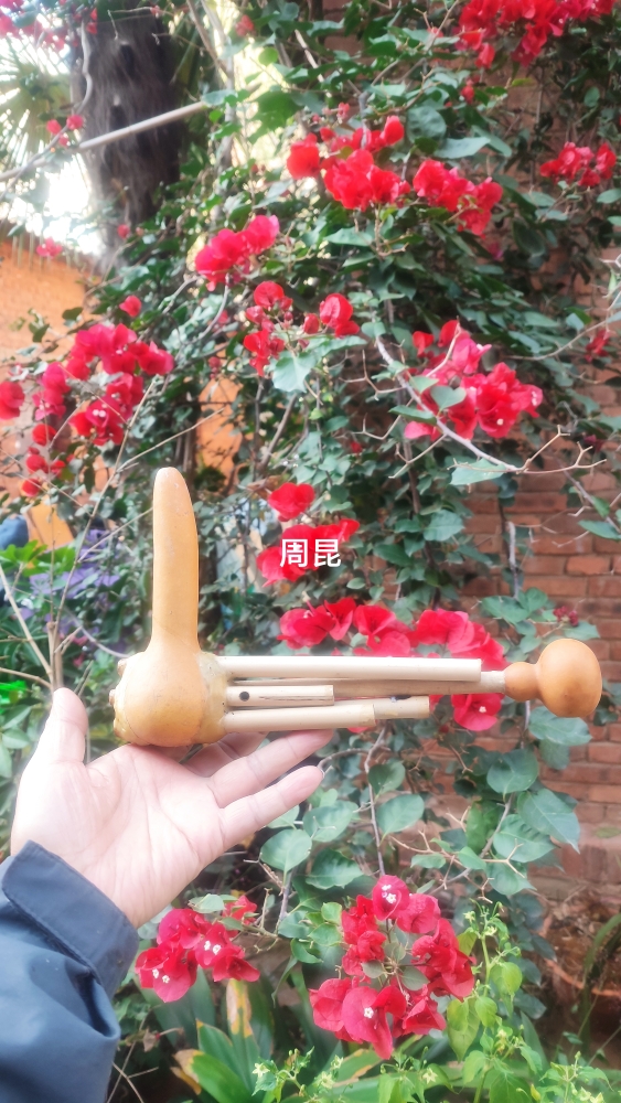Reed Sheng Seven-inch Dawn Township Lisu Nation Five pipe Lijiang River beat song Bronze Tongue Double Tune Gourd Sheng Non relic development ticket-Taobao