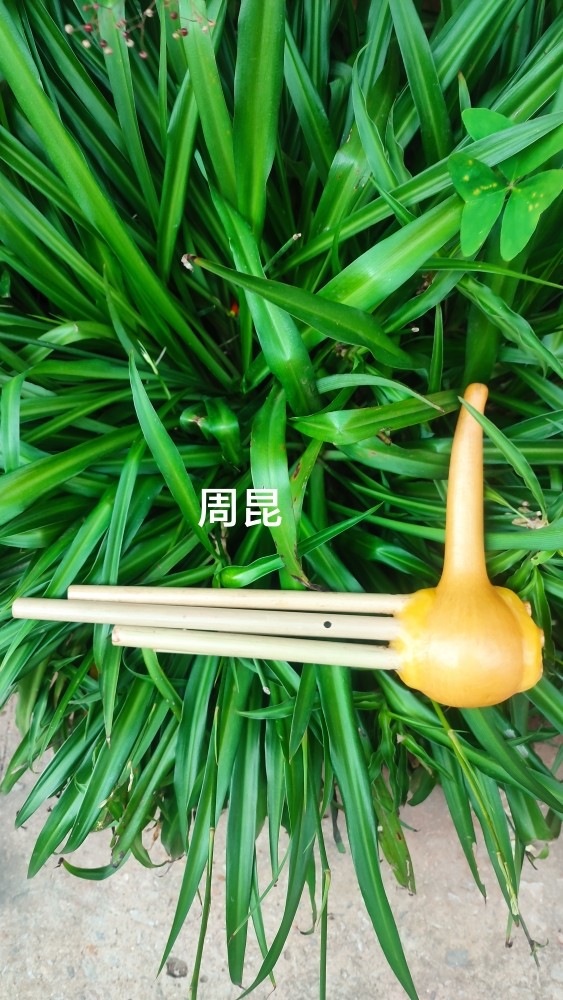 Sheng Plinth Sheng Sells Direct Nine Inch Yongde Five Pipe Cangyuan Cloud County Hit Song Lusu Bronze Tongue Manufacturer Direct Sales Can Develop Ticket-Taobao