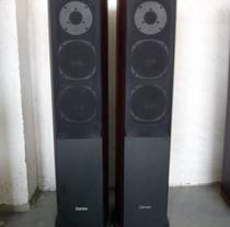 Second-hand original Danish Dantax Dante sound MEGA MG F floor-standing speaker fever household passive speaker