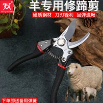 Sheep hoof trimming scissors pig hoof trimming pliers animal repair shears toe nail tools artifact breeding supplies