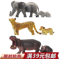 Childrens toys solid simulation wildlife model African elephant Elephant jaguar Hippo Plastic animal ornaments