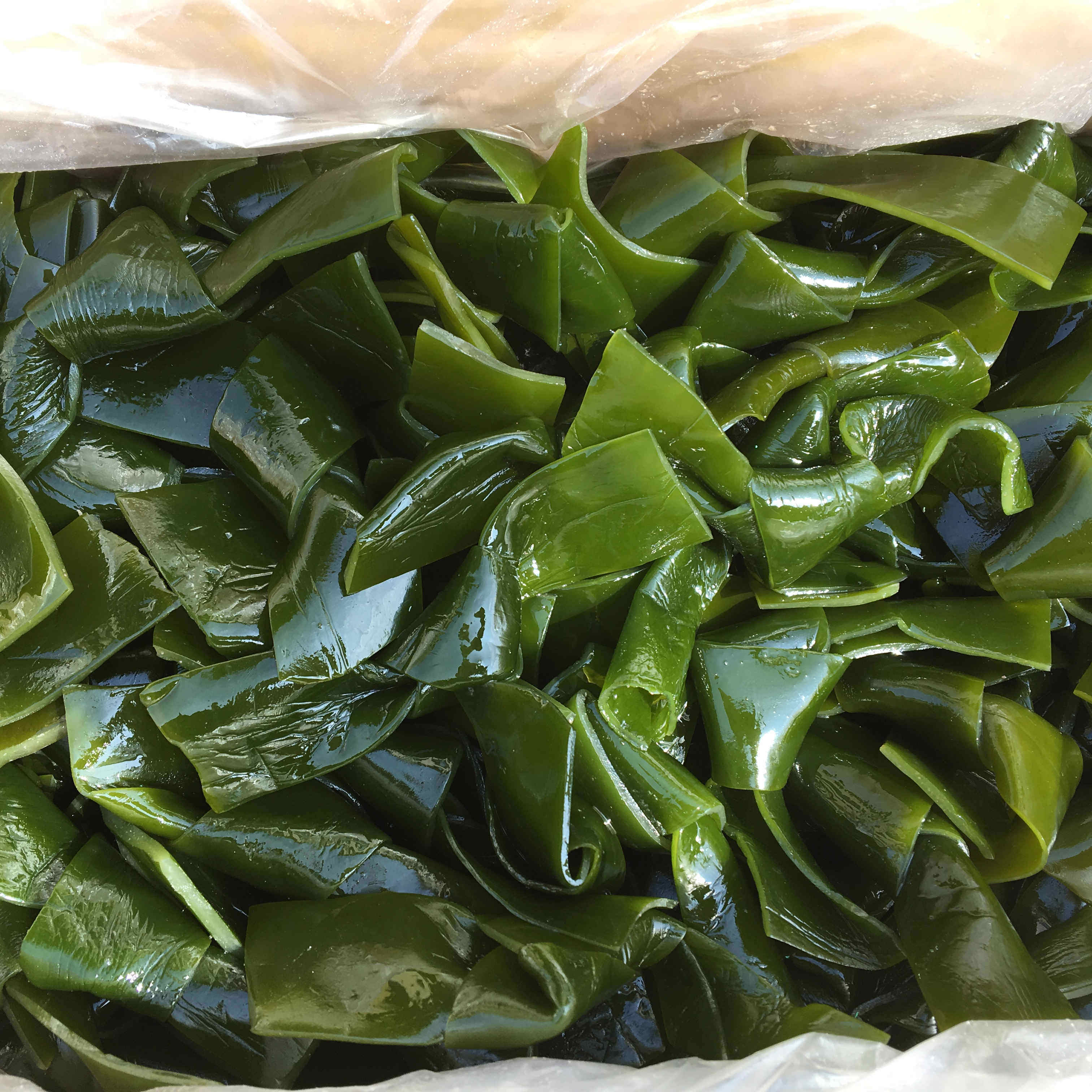 Multi-province one box 8 catty Dalian Fresh salt stains outlet Tgrade thick kelp knot kelp buckle non-dry goods