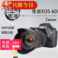 Canon full frame 6D 5D2 máy đơn kỹ thuật số SLR 5D86 III du lịch 6d2 5d3 - SLR kỹ thuật số chuyên nghiệp máy ảnh du lịch