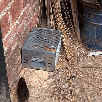 20260504_145558_065.gif