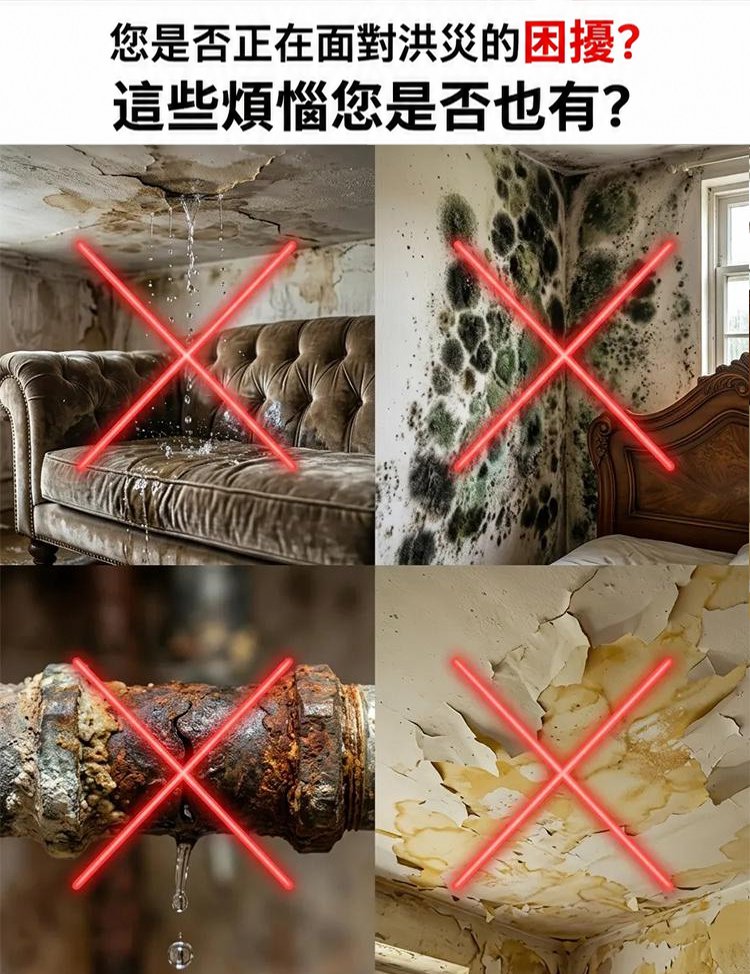 详情03.jpg