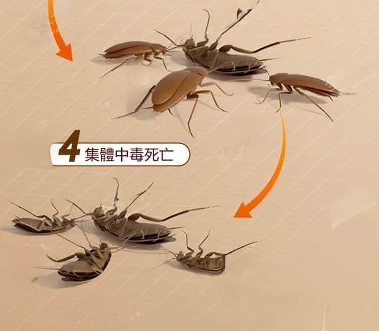详情12.jpg