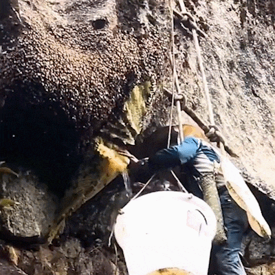 DM_20260506164730_008.gif