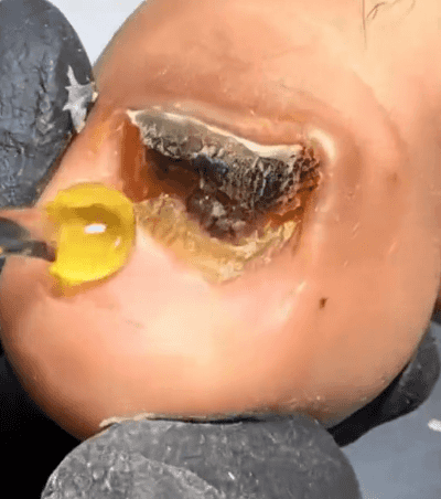 27.gif