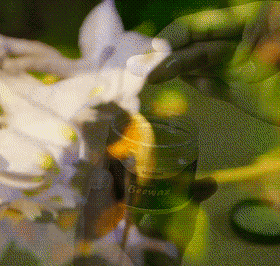 20260519_111231_009.gif