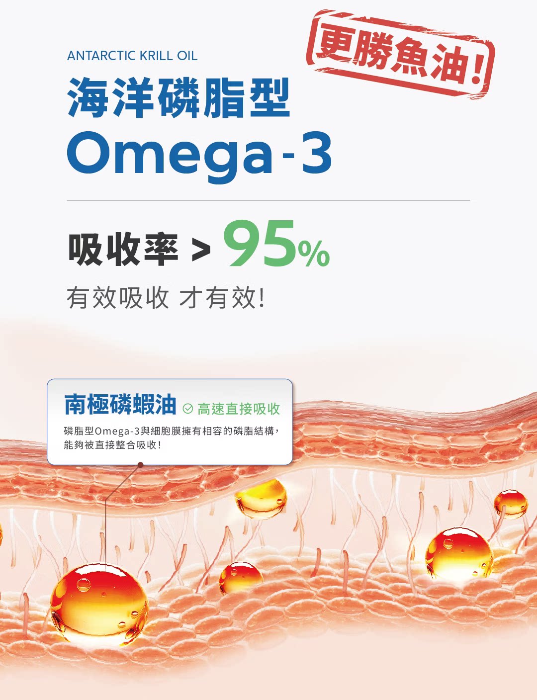 DM_20260901114144_004.png