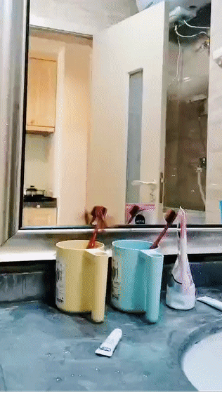 03.gif
