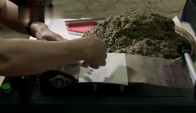 19.gif