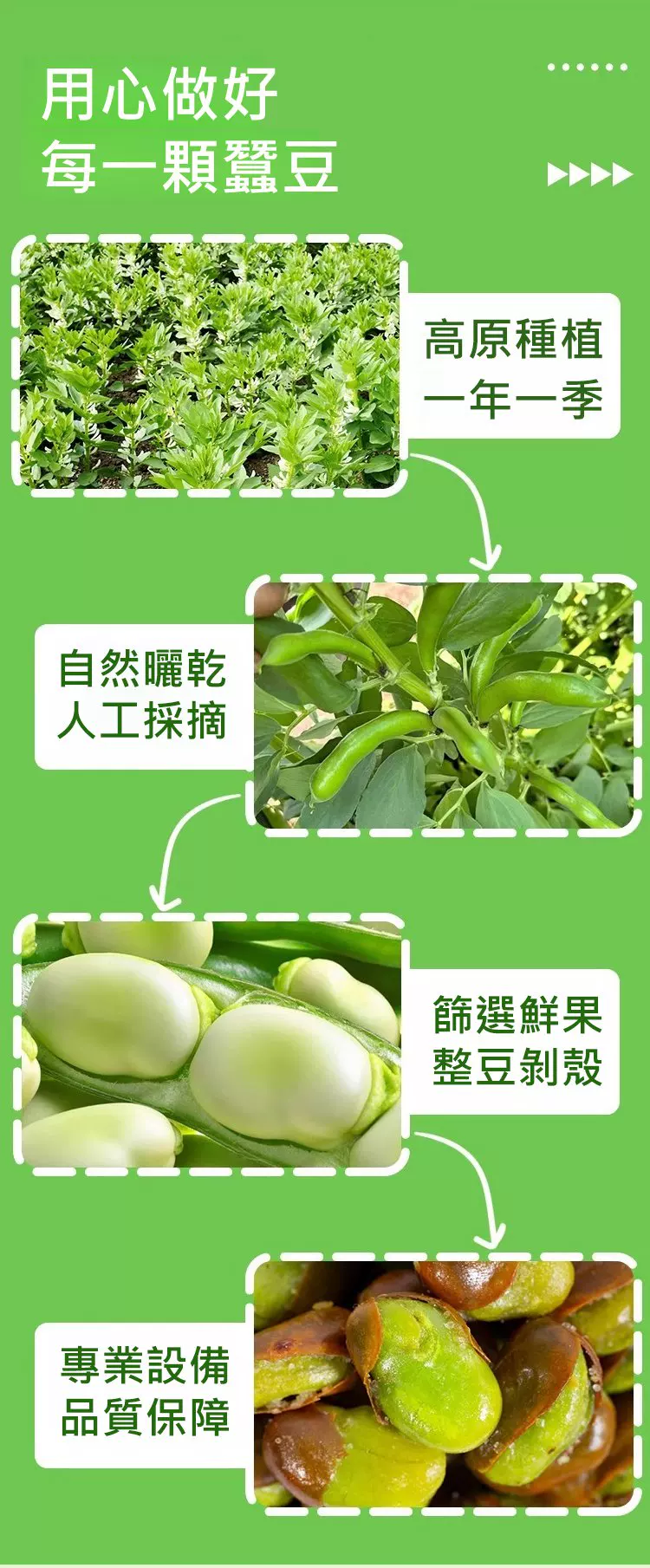 15.webp