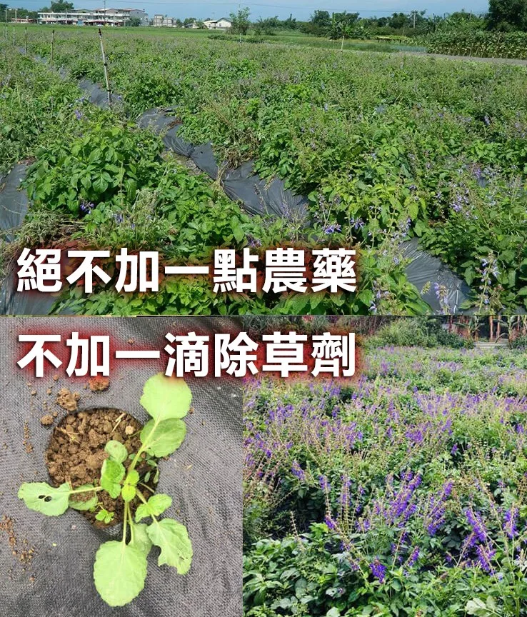 DM_20251129113830_022.webp