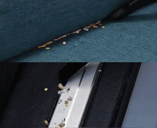 31.gif