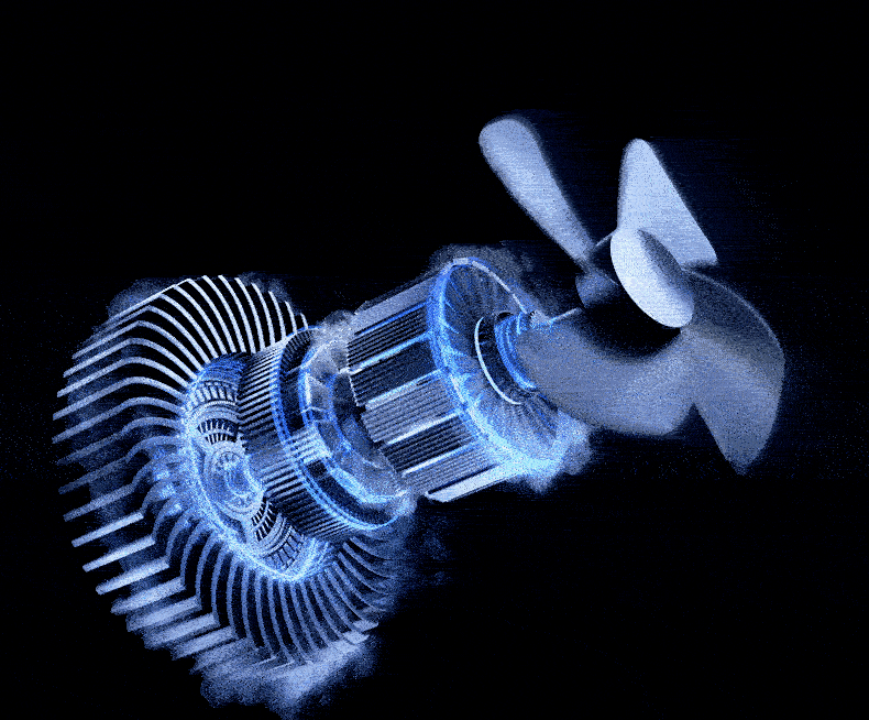 29.gif