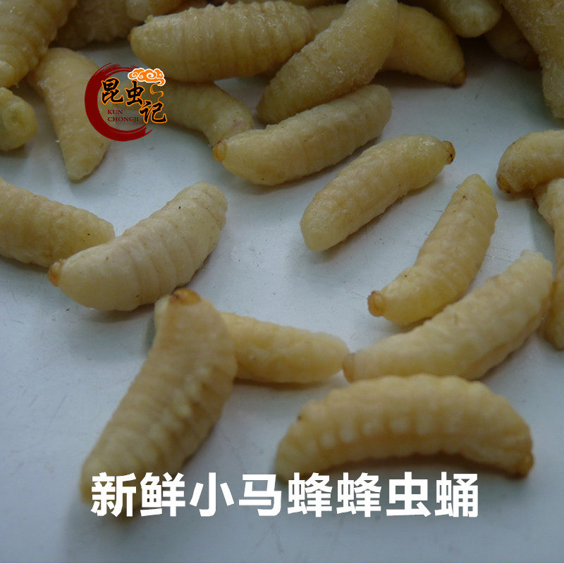 Fresh Bee Pupa Grade Beeworm Pupa Pupa Pupae Pupa Nutritional Gourmet Fresh Frozen Transport Shipping-Taobao