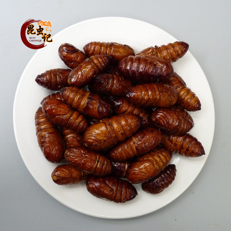 Tussah silkworm chrysalis large silkworm chrysalis silkworm chrysalis cocoon chrysalis insects record 18