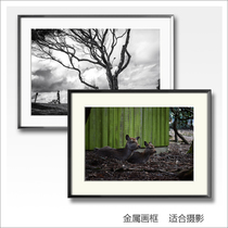 TOCKUS metal frame photography decorative painting large size photography work personalized decorative painting hanging painting