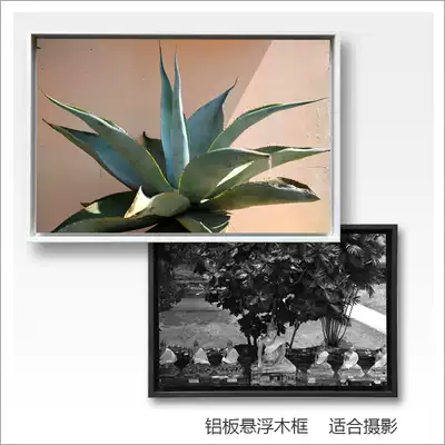 TOCKUS custom aluminum plate suspended wood frame photography art decorative painting frame photography custom picture frame