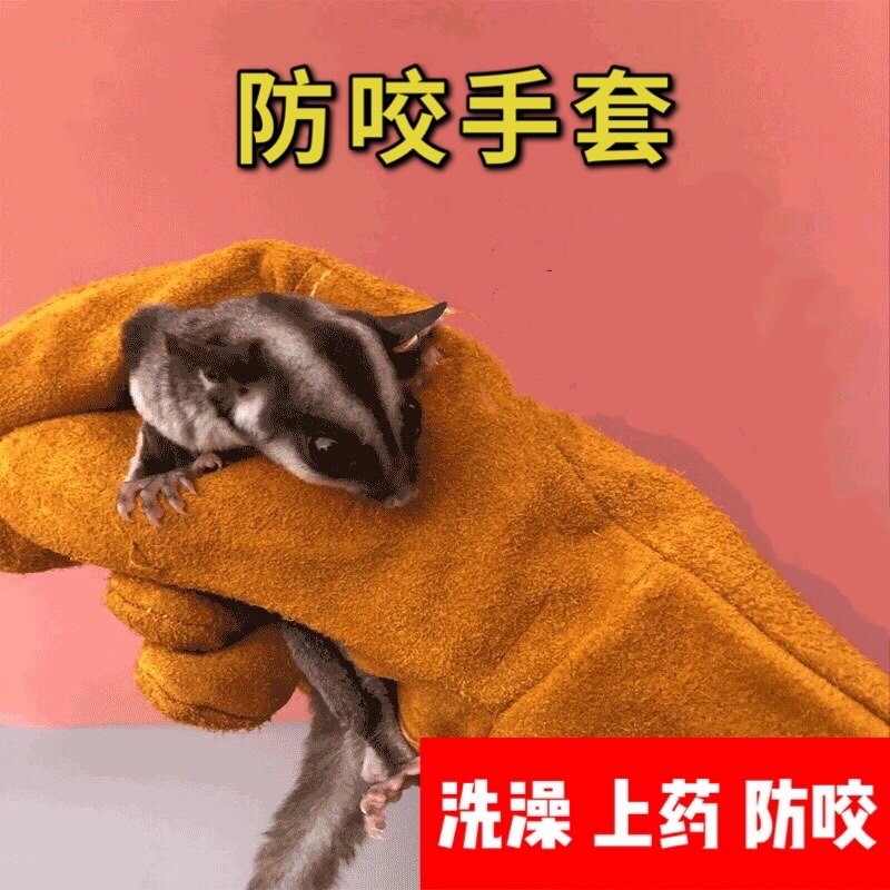 Cats, dogs, hedgehogs, flower branches, honey bags, pets, anti-scratch, anti-bite, pet protection gloves, small pets, bathing, medicine, protective gear