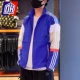GL0401 Blue [Deng Lun та же модель]