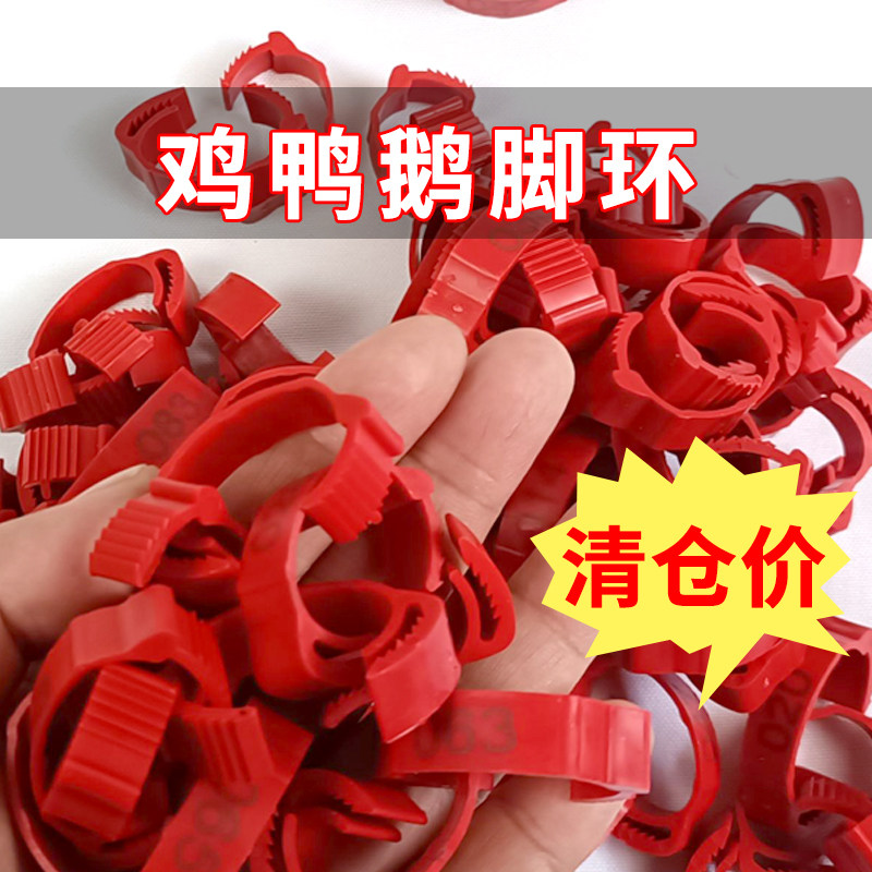 鸡脚环卡扣式鸡用记号脚圈鸭子鸡鸭鹅家禽标签养殖识别环标记脚环