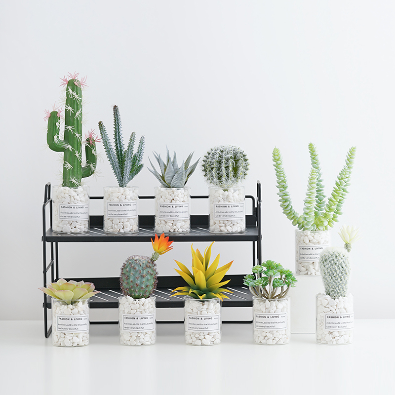 Nordic simulation plant ornaments fleshy fake potted net red ins green cactus fake flower decoration interior living room