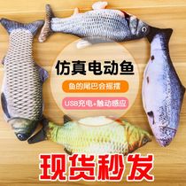 Net red simulation electric running beating swing fish toy children swimming boy girl baby shake sound with the same