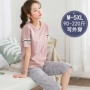 Bộ đồ ngủ nữ mùa hè cotton tay ngắn cắt cạp cộng với phân bón XL 200 pounds chất béo mm phù hợp với mùa hè nhà đồ bộ nữ mặc nhà