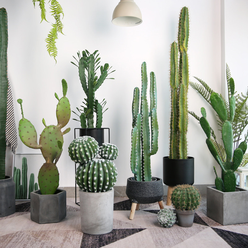 Roman mom emulated cactus large plant decoration fairy column bonsai ground window decoration living room hem