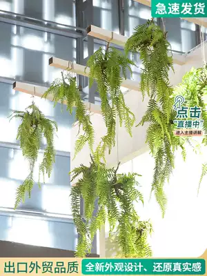Roman mother indoor aerial hanging tree root Fern simulation green plant hanging decoration home creative floral design