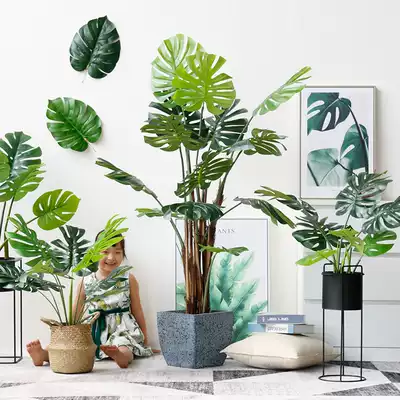Roman mother Nordic decoration ins simulation plant living room decoration turtle-backed taro large indoor fake green plant potted plants