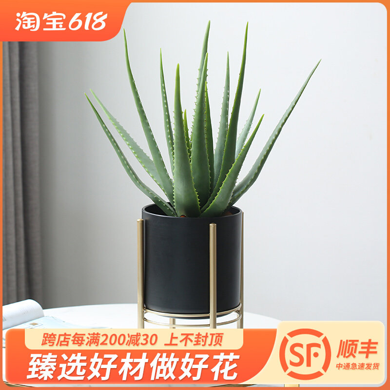 Roman Mom Simulated Plant Aloe Vera Pot Northern European Fake Pot View Indoor Living Room in Fake Green Plant Decoration