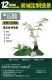 Длина ландшафта Golden Monkey Fern 120 см [бесплатная установка]