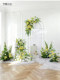 High-End Artificial Flowers, Simulated Flower Displays, Window Displays, Exhibition Halls, Commercial Streets, Photo-Taking Spots, High-End Decorative Floral Arrangements and Scenery