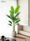 Roman's Mother Traveler's Palm Artificial Green Plant High-End Light Luxury Artificial Flower Pot Green Plant Fake Plant Indoor Floor-Standing Decoration