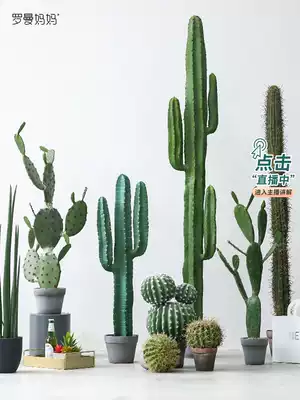 ins Nordic fake cactus simulation plant bonsai large cactus pillar green planting living room indoor floor decoration