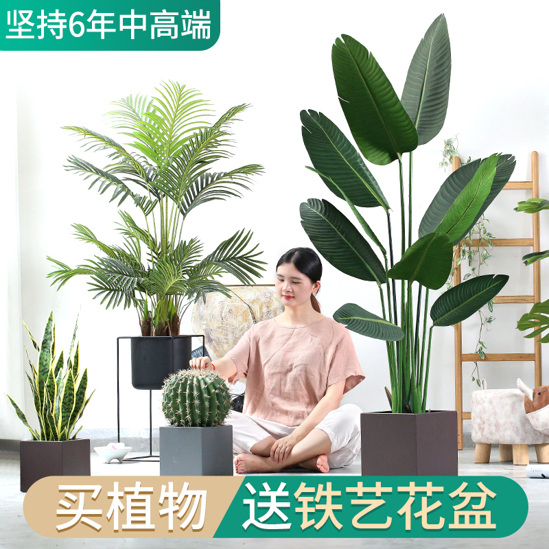 Nordic Emulation Plant Decoration Brigade People Banana Tortoise Back Taro Large Ground Fake Green Plant Room Living-room Living-room Pendulum