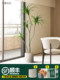 Artificial Plant Dracaena Bonsai, Millennium Tree, Iron Tail, Wabi-Sabi Style, Simulated Green Plant, Fake Tree, Large Ornament