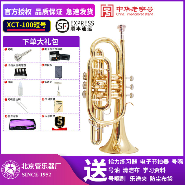 SF Xinghai brand XCT-100 cornet instrument bB wind instrument universal for beginners and orchestras