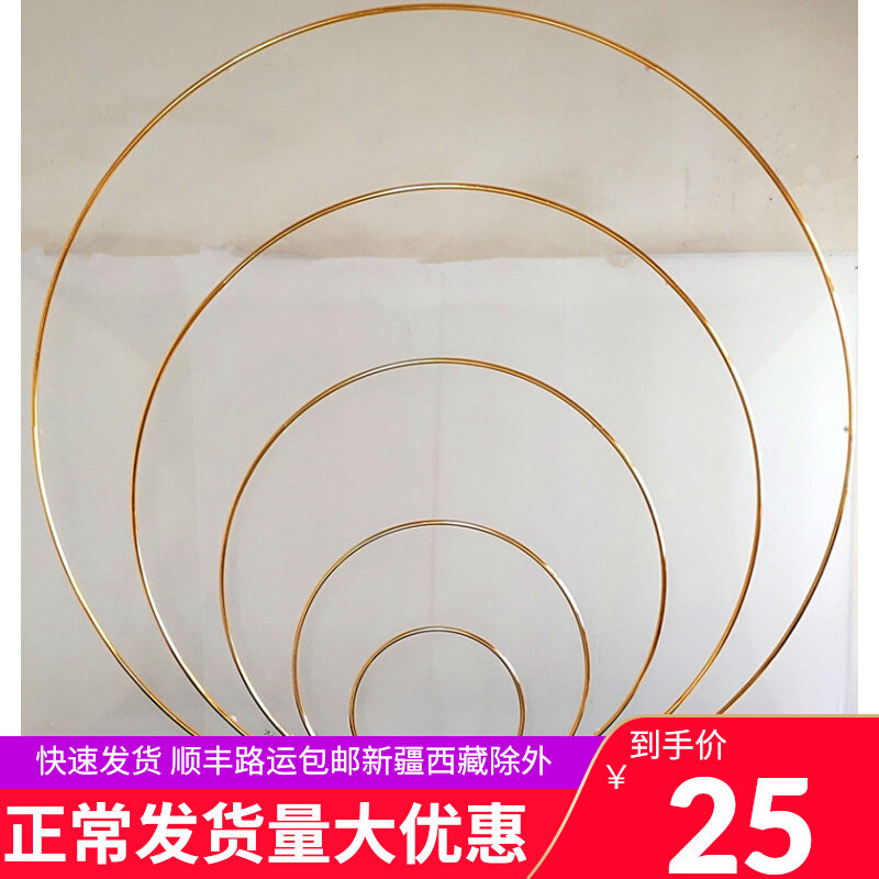 Wedding Prop Iron Art Arch Ciro Wire Curtain Ring Hollow Round Single Tube Circle Suspended Ceiling Wedding Scene Arrangement Decoration