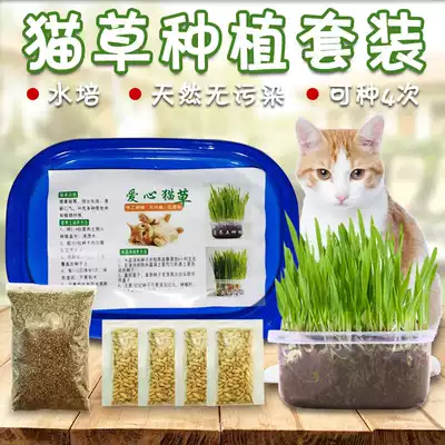 Cat grass seed cat hydroponics cat grass seed planting set hairball cat snack catnip can be planted 4 times