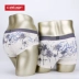 Caber / Calbury couple đồ lót nam boxer cotton nữ tam giác eo thời trang thoáng khí trẻ trung