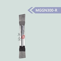 Толпа рта MGGN300-R H01